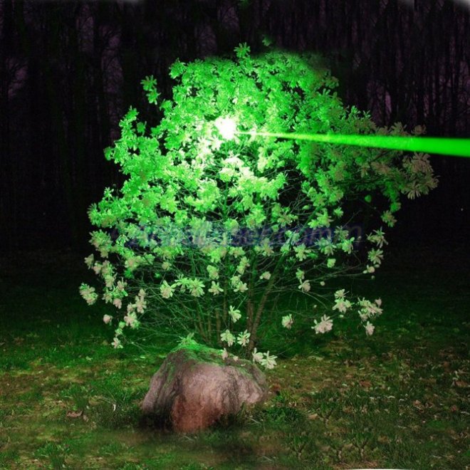Puissant pointeur laser vert - 303 Torche laser verte haute puissance  10000m Point vert dispositif de mise au point réglable pour la chasse