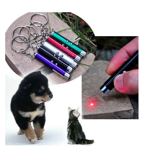Acheter 5mw laser pointeur rouge pour allumeuse chat gadget